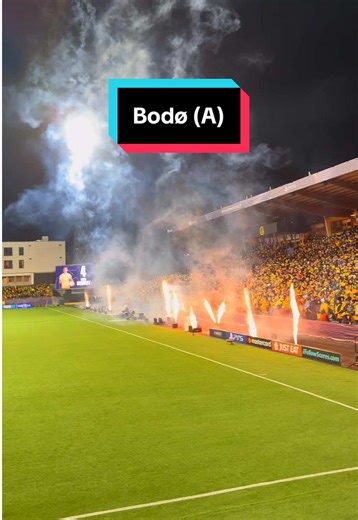 Exploring City's Arctic Circle Adventure