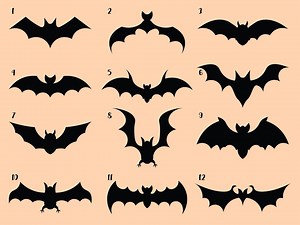Halloween Bat Decal Sticker Set – Choose Individual Designs or Full Kit - Etsy