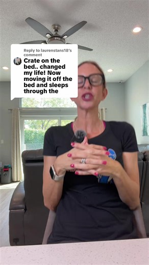 Effective Dog Training Tips from Experts