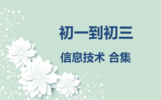 初中计算机 网课合集