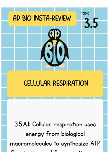 Check out daily AP Bio Review on IG stories ❤️🤓🐧 Today is 3.5 #apbio #apbiology #studywithme