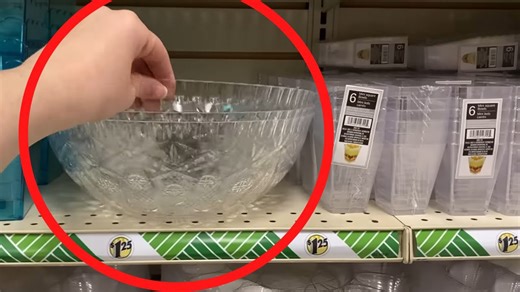 Genius Dollar Tree dish hack (so copying this!)