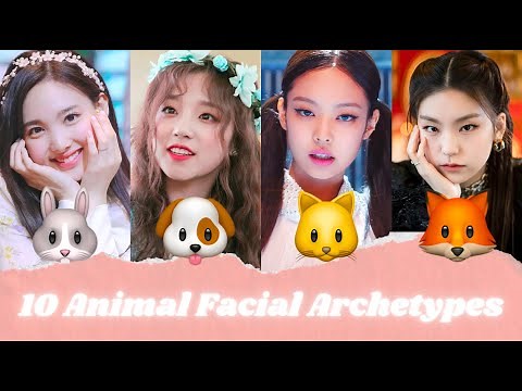 What ANIMAL Face Type Are You? | Animal Face Types Explained