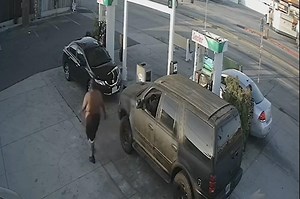 Woman pumping gas severely beaten in ‘random,’ caught-on-video attack