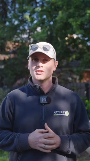 Natures Best Landscapes on Instagram: "Canterbury project . Amazing clients entrusted our design vision to create this multi function backyard with a pool and sports court. #eringreendesigns #surreyhillslandscaper #resort @plantmark @betterexteriors @waterviewswimmingpools @conc.au @periodextensions @rathco.studios"