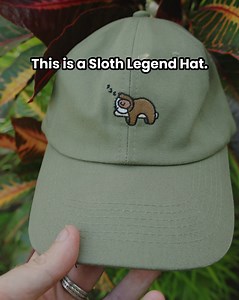 334 reactions · 33 comments | Buy One Legend Hat Get One Free On Now While Supplies Last! Each Sloth Legend Hat gives back to saving more injured sloths in the wild. 殮 Tap the lid of your hat against the phone to read about the sloth you're helping. Shop Now: https://followyourlegend.com/collections/legend-hats/products/sloth-legend-hat | Follow Your Legend | Facebook