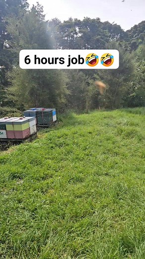 7.3K views · 160 reactions | Beekeeping Journey on Reels | Facebook