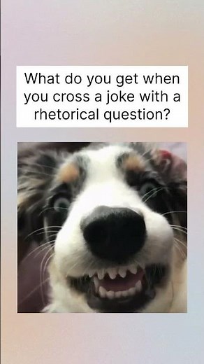 What Do You Get When You Cross a Joke with a Rhetorical Question? 🤔😂
