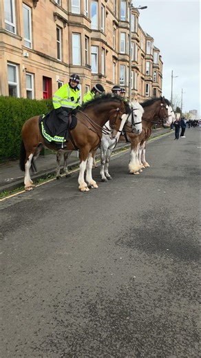 🐴 MOUNTED POLICE AT HAMPDEN. Four magnificent Clydesdale horses on crowd control duty at semi-final