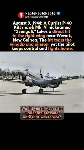 🛩 Svengali: The Kittyhawk that Braved a Dying Wing