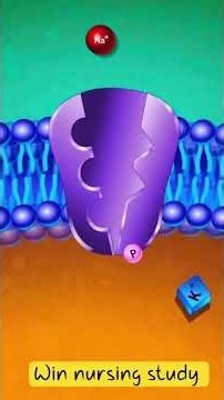 cell transportation with 3D animation