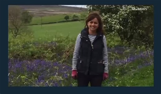 105 reactions |  Lucy will not be just another statistic ...