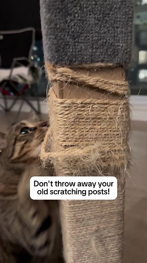 DIY Cat Scratching Post Refresh Under $7!