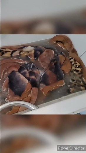 How to wash double blanket at home easily .