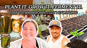 9.2K views · 281 reactions | Beginner To Expert! MUST KNOW Seed Starting & Fermenting Tips (Helicopter Plant Mom APPROVED) | Stivers Homestead | Facebook