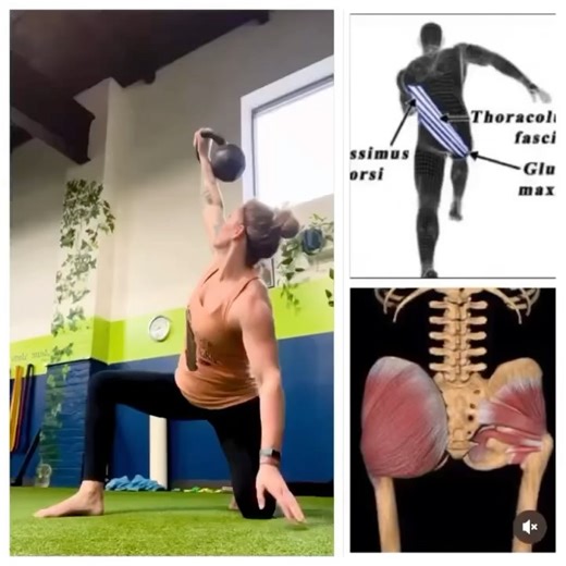 DVRT Ultimate Sandbag Training on Instagram: "Core training is often misunderstood. For many, it still means crunches, sit-ups, or chasing that elusive six-pack. But if we stop there, we miss the true role of the core: an integrated system of over 36 muscles that stabilize the torso, protect the spine, and allow the rest of the body to move with strength and efficiency. The core isn’t just for aesthetics it’s the foundation for power, balance, and resilience. When it works well, it distributes f