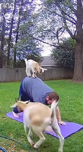 Chris and Christie fam on Reels