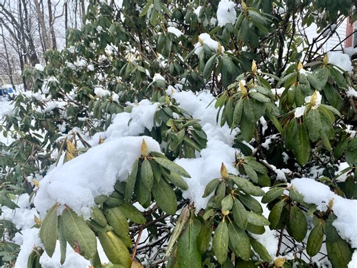 Snow Threat Returns With Weekend Storm: See Latest Forecast