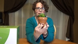 Watch plant nursery pots on Amazon Live