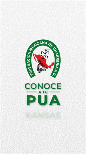 10K views · 46 reactions |  Conoce a tu PUA  JUAN ANTONIO MARTÍNEZ Presidente de la Unión de Asociaciones Charras de ✨KANSAS✨. Federación Mexicana de Charrería Consejo Directivo Nacional 2024-2028 #charreria #charreriausa #kansas | Federación Mexicana de Charrería A.C. | Facebook