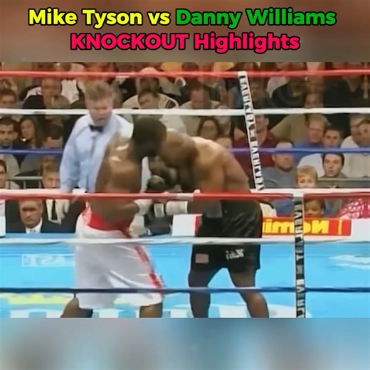 Mike Tyson vs Danny Williams KNOCKOUT Highlights | Natural para frango