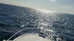 21K views · 165 reactions | HE COULDN'T CATCH HIS REAR END.....WITH BOTH HANDS Then THIS happened | FishMonster Key West | Facebook