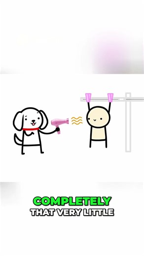 Mummification Explained: Desiccation and Preserving Life