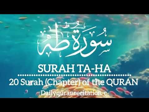 Surah Taha | Surat Ta Ha | surah taha | beautiful quran recitation | SURAH TAHA | TaHa | سورة طه