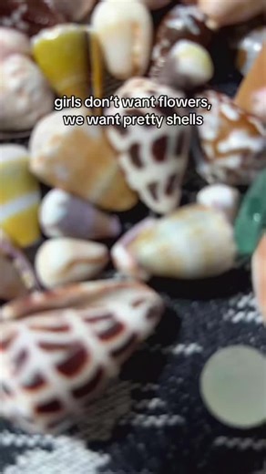 Discover Beautiful Seashells with Nalu Vibes
