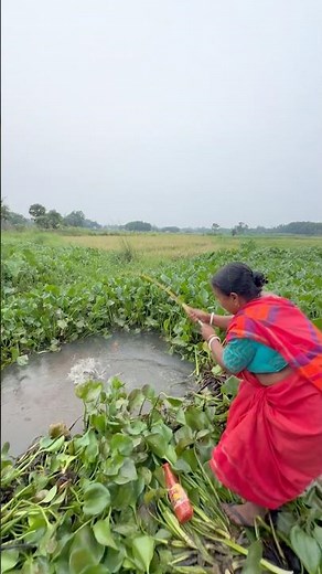 Village grandmothers catching big monster fish in mud water #bass #fish #villagelife #hookfishing