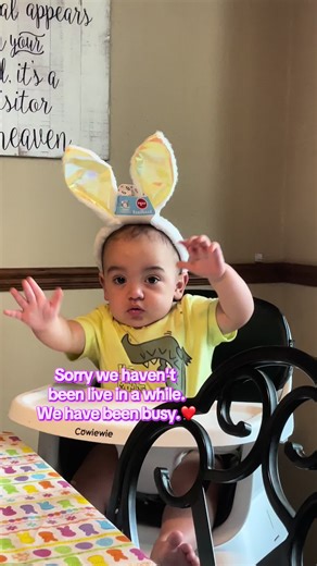 Daily Vlog: Bunny Adventures and Squirrel Encounters