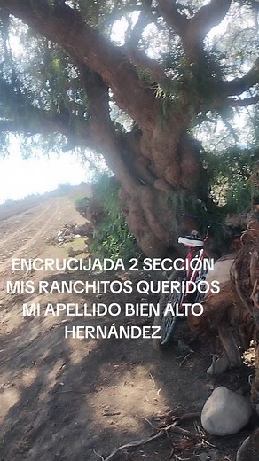 Videos de EDWARD HERNÁNDEZ (@edward.hernandez0552) con “La Vida en el Campo - Yosef Eisenhart & Jose Altamirano & Linda Perez”