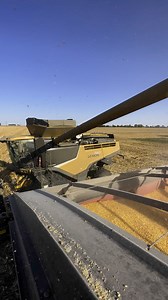 Working hard on the farm! #farm #farming #farmlife #familyfarm #agriculture #reelsvideo #reelsfb #reels #tractor #caseih #johndeere #fun #harvest #country #work #hardwork #iowa #kids | Titman Farms