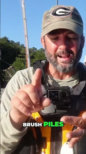 Unlock Summer Bass Fishing Secrets: Shallow Water Baits Revealed!