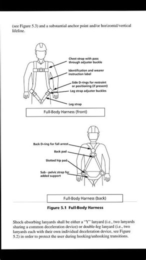 Full Body Harness Parts Explained (Quick Guide) #harness #safetyfirst #youtubeshorts #safety #shorts