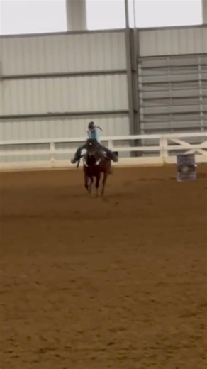 Mare knows how to free run #bindi