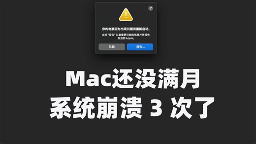 2025年4月30日Mac mini 系统崩溃重启/你的电脑因为出现问题而重新启动 MacOS15.4.1