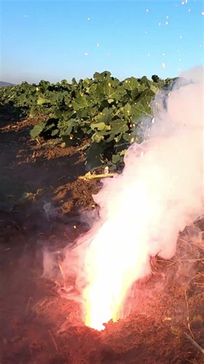 Can I build a Rocket Under $100?