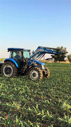 NEW HOLLAND TD90D #agriculture #farming #tractor #traktör #newholland