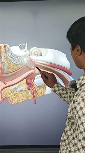 ears system explained in hindi with the help of 3d model and digital board #rajanvlogs95 #trending