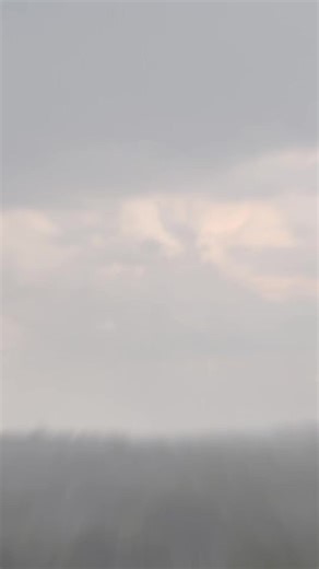 Spyder (@spyder4life202)’s videos with original sound - Philosophy Pulse (check bio)