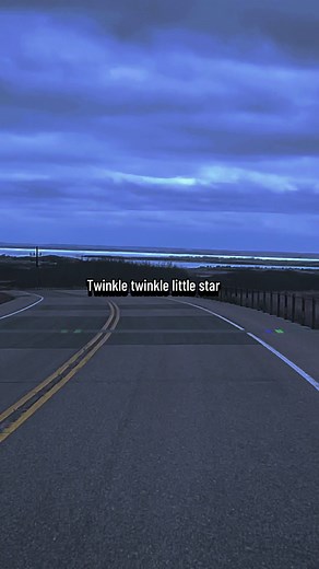 McCafferty - Alligator Skin Boots Lyrics