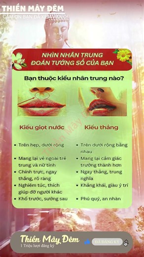 nhạc ngủ ngon , nhạc thiền , nhạc không lời , nhạc remic, nhac bolero lofi
