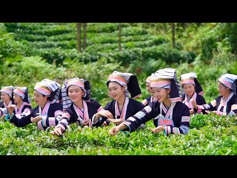 Qianxi’nan — Where Sunshine Meets the Mountains