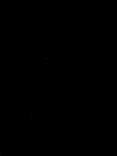 johnlyrics on TikTok