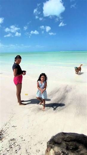 Se le llama vida y solo tienes una, deja de sobre pensar y empieza a vivir . . #murph_holbox #holbox #petfriendly #beachvibes #fyppppppppppppppppppppppp