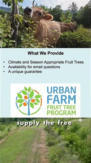 Unique Fruit Tree Program That PAYS!
