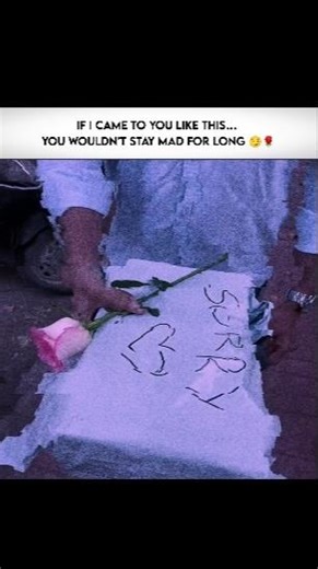 A little ‘sorry… with a lot of love ❤️🌹couple vibe #shorts #gift #love #shortsfeed