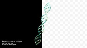 Rotating Dna Helix – 3 D Animation With Alpha Channel (2 K Resolution)