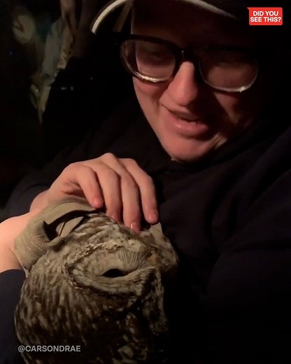 1.2M views · 3.4K reactions | This man turned to the pros for help saving Roger the owl | BuzzFeed News | Facebook